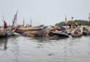 Guinée : une baleine de 14,22 m de long échoue à Taboria ( Source)